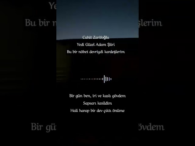 preview_player
