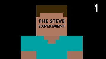 The Steve Experiment - Part 1 (Introduction)