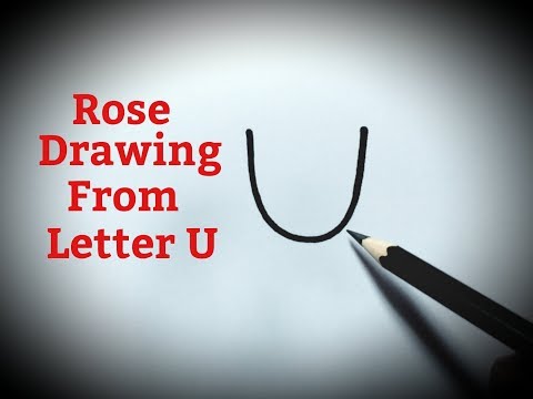 How to draw a rose flower easy from letter U Rose drawing step by step for  beginners tutorial