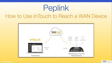 Peplink - How to Use InTouch to Reach a WAN Device (Router/ Gateway)