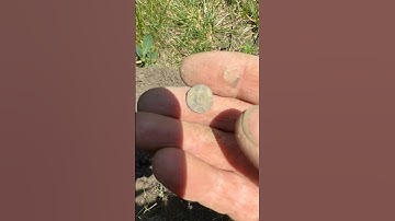 Manticore tiny button MultiQ Low Conductors #shorts #manticore #minelabmetaldetectors #relics