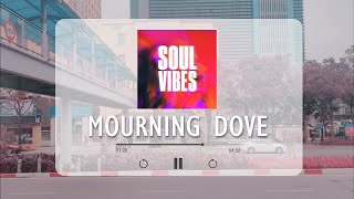 Mourning Dove | List.42 | 💕 Solace in Sound: Soft Tunes for Comfort 🎵 screenshot 3