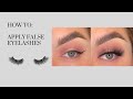 How To: Apply False Eyelashes | False Eyelashes For Beginners