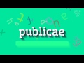 How to say publicae high quality voices
