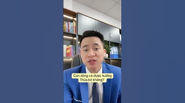 Con riêng có được hưởng thừa kế? #luatsuquangsang