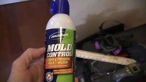 Dry Out Walls from Water Leak to Prevent Mold