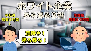 [Actual Experience] 3 Things You'll Know About Working for a White Company [The Best]