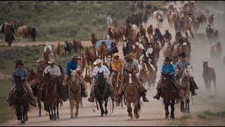 TV worth watching!  The Great American Horse Drive!  A full episode of TWW!! by Today's Wild West 48,978 views 1 month ago 26 minutes