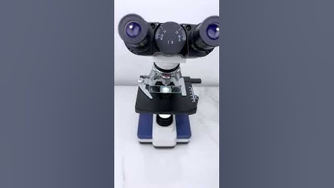 Human sperm under the microscope🔬view.@bmltlab6037