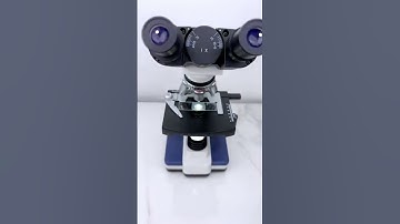 Human sperm under the microscope🔬view.@bmltlab6037