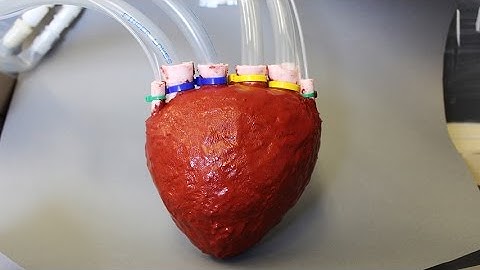 Artificial foam heart