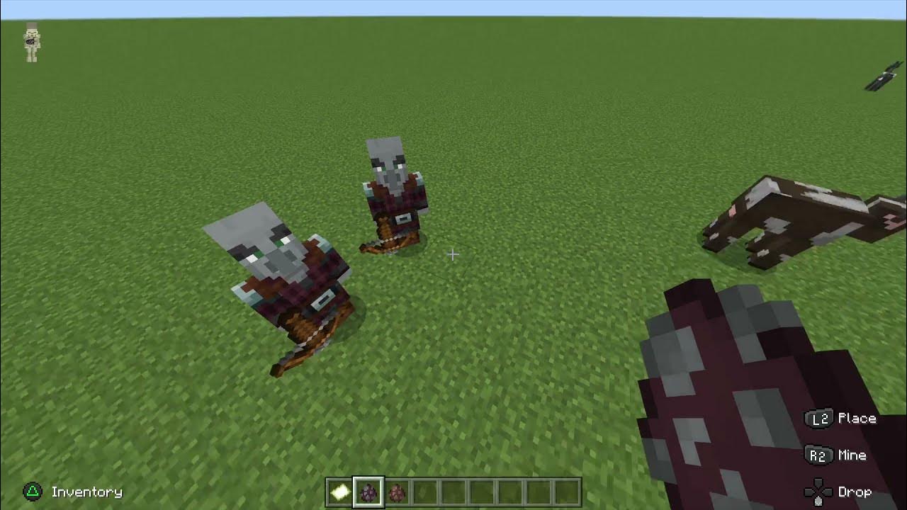 how to remove a pillager's crossbow in minecraft bedrock edition! YouTube