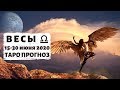 ВЕСЫ ♎️: УСПЕХ НЕИЗБЕЖЕН 🏆 | ТАРО ПРОГНОЗ на 15-30 ИЮНЯ 2020.