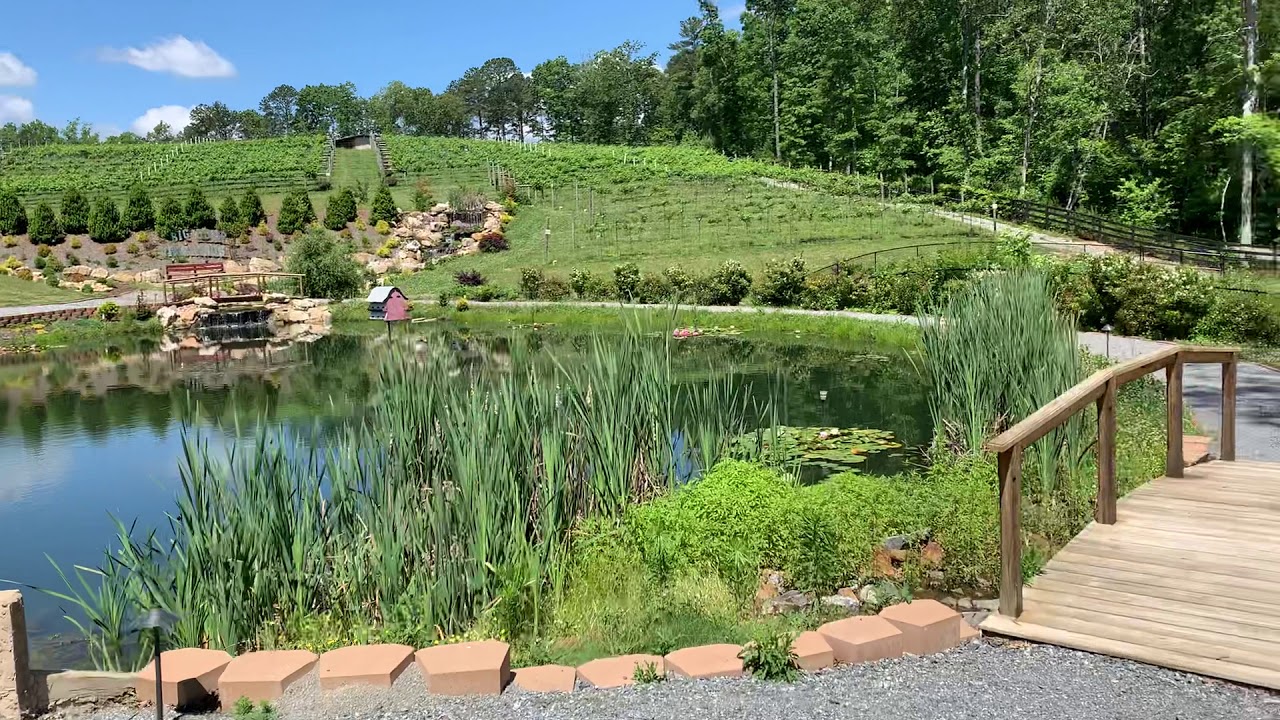 Big door vineyards, near Atlanta, YouTube