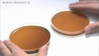 フコイダン「高分子」と「低分子」の違い