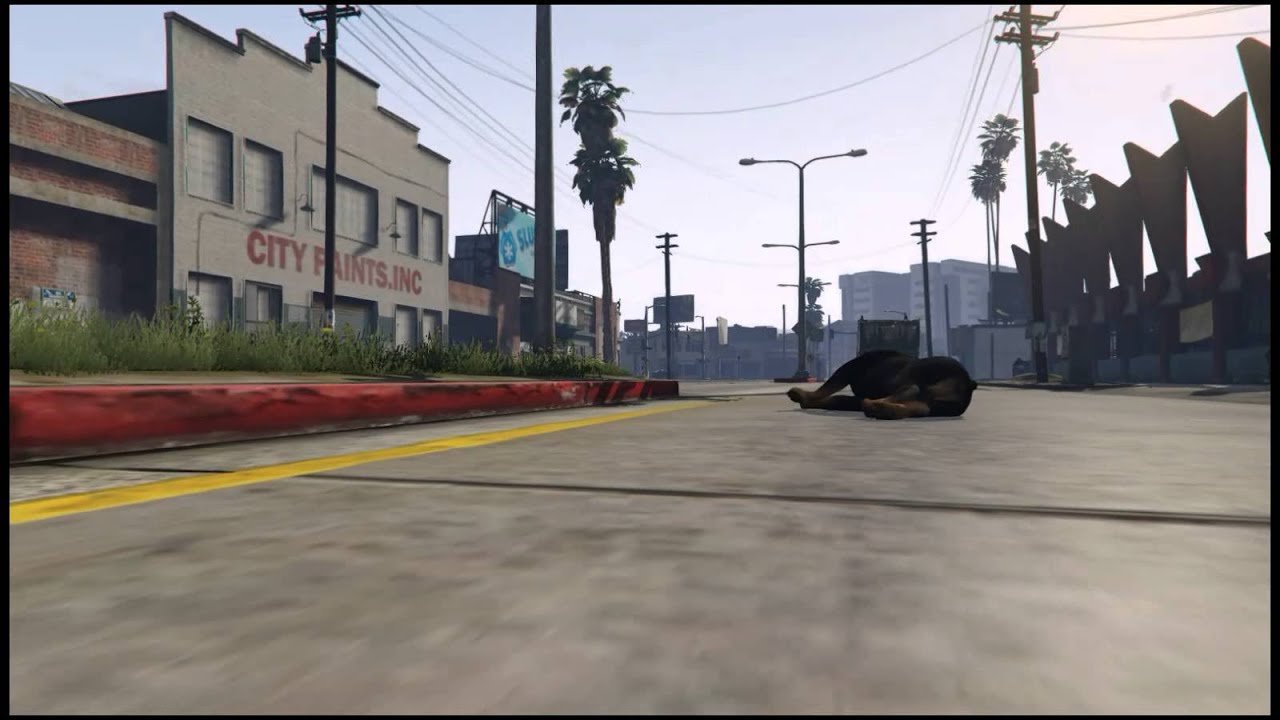 How To Take Chop For A Walk Ps4
