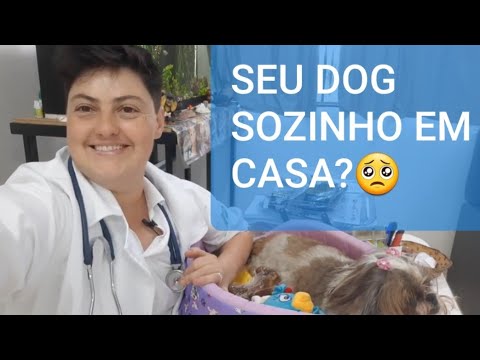 O QUE FAZER