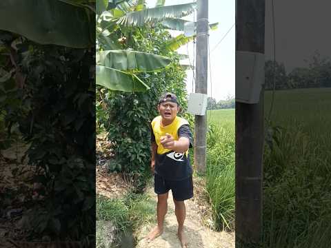 Kucing marah ikan nya di ambil #shorts