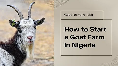 How to Start a Goat Farm in Nigeria: Step-by-Step Guide for Beginners