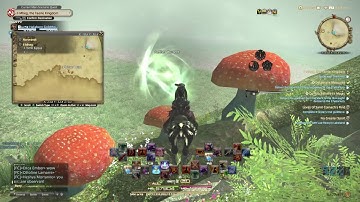Final Fantsy XIV Shadowbringers Il Mheg Aether Current Locations