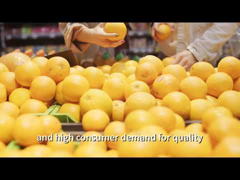 OneThird Fresh Produce Shelf Life Prediction