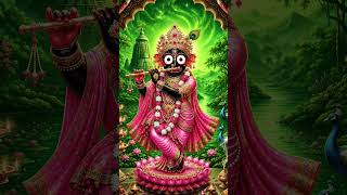 jagannath Chaka nain nilachal vale tu na sambhale to hme kaun sambhale #krishna #love #jagannath