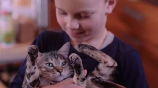 Гречневый салат. Гречка с брюссельской капустой. Гречневые блины. Гречневый салат. Гречка с брюссельской капустой. Гречневые блины.