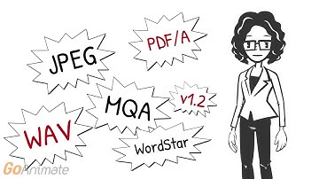 File Profiling: a training video