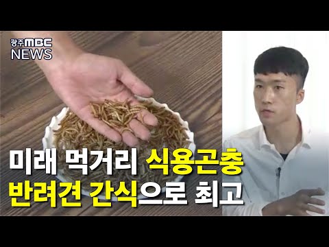 [뉴스투데이]미인)&amp;quot;곤충으로 만든 친환경 먹거리&amp;quot; 김진우 대표