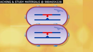 Bacterial transformation animation CSIR NET life science