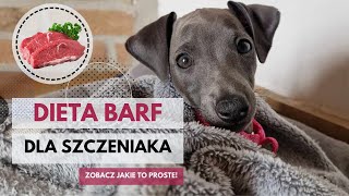 Jak przygotować dietę BARF dla szczeniaka? Jak wprowadzić psu dietę BARF?