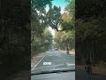 #drive #fortuner #forrest #bolpur