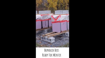 ⚪ Finishing The Hive Winterization: 2021 TLDW Beekeeping