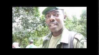 BWINDI IMPENETRABLE FOREST ORUZOGO GROUP 29/09/2012