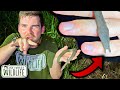 The STRANGEST Snake ON EARTH Has TENTACLES???