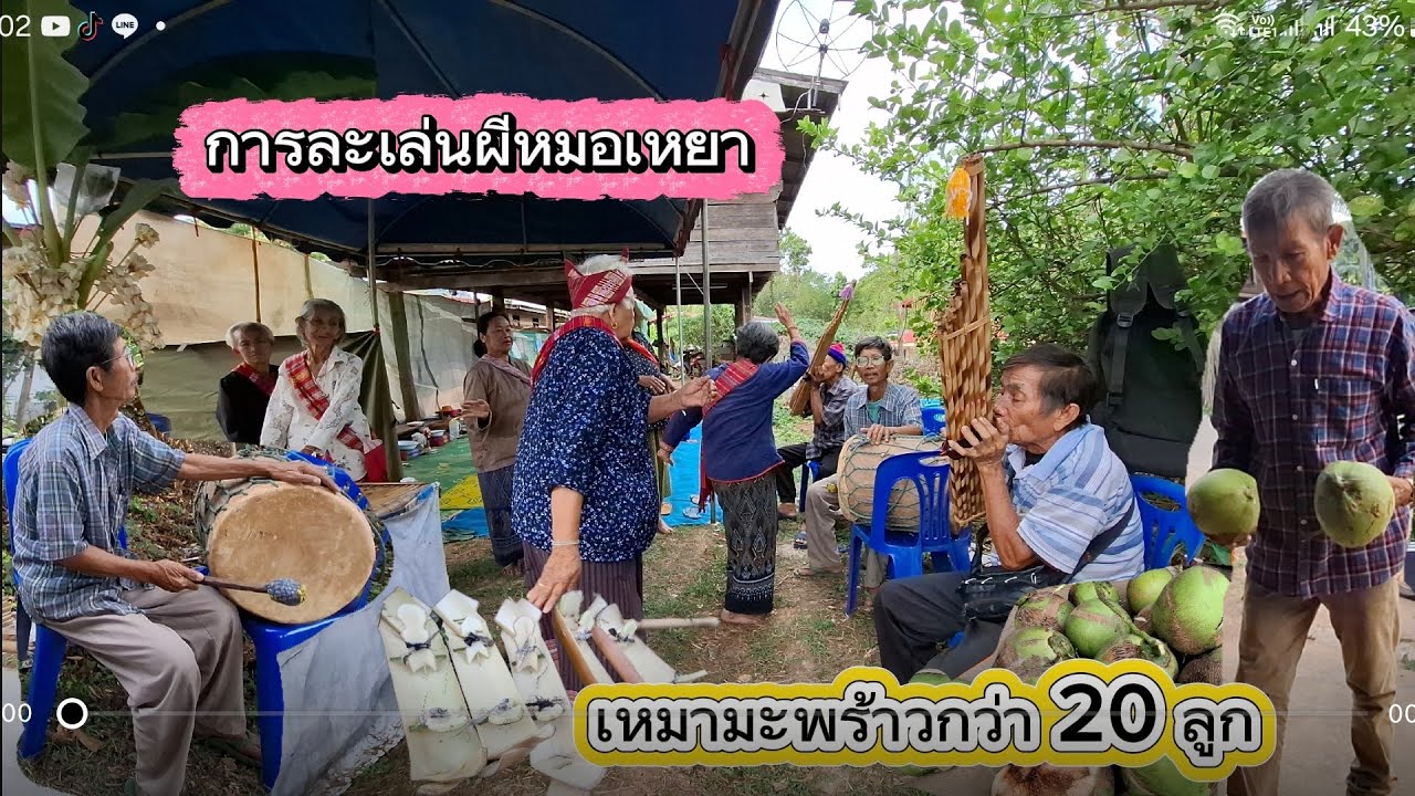 เหมาเกือบหมดต้นมะพร้าวตาชาน/พาชมประเพณีผีหมอเหยา