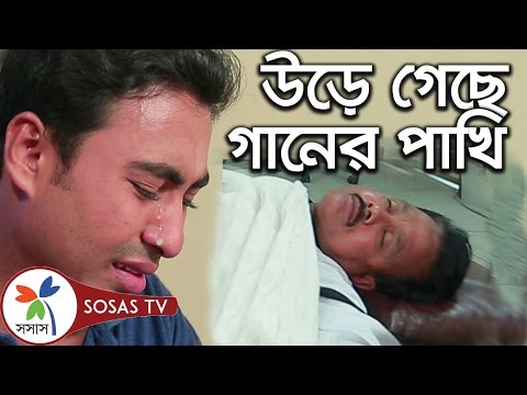 Gaan: Ure gechhe Ganer Pakhi | Shantir Barta | Bikolpo, RU | Islamic Song Gaan: Ure gechhe Ganer Pakhi | Shantir Barta | Bikolpo, RU | Islamic Song