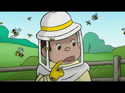 Nicke Nyfiken | Hur bin gör honung | Tecknad Film för Barn