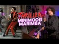 Mjs thriller minimoog marimba synth breakdown