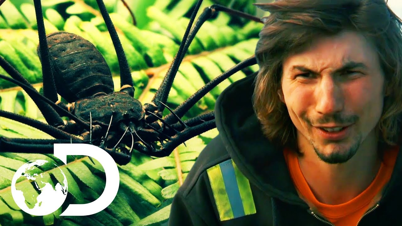gold rush tony beets daughter Rick And Parker Prepare For A Potentially Deadly Trip To Guyana | Gold Rush: Parker's Trail