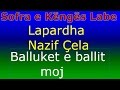 Grupi i Lapardhasë (Nazif Cela) - Balluket e ballit moj - Sofra e Këngës Labe