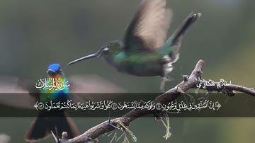 إن المتقين في ظلال وعيون.. تلاوة بصوت القارئ إسلام مكاوي