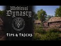 Medieval dynasty tips  tricks ep 2 windmills