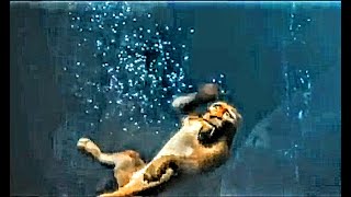 Ice Age 2: The Meltdown (2006) Diego overcomes Aquaphobia, learns to swim.