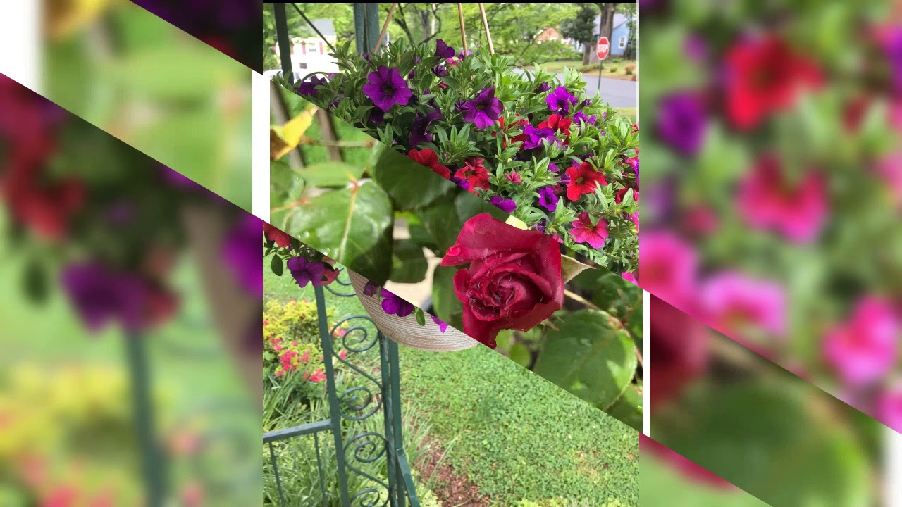 Science Rocks! - YouTube