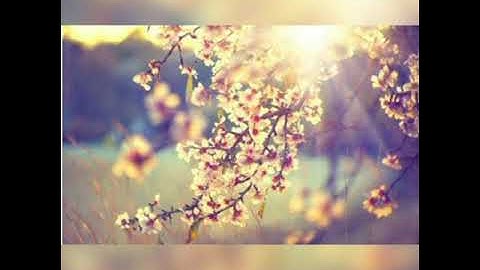 #سورمتنوعةباصواةخاشعة.                   تلاوة تخشع لها القلوب💕💖 -سورة النبأ-بصوت عذب💫 😇
