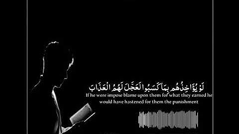 حالات واتس اب سورة الكهف بصوت القارئ رعد الكردي