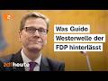 FDP im Überlebenskampf: Was bleibt von Westerwelle? | Berlin Direkt