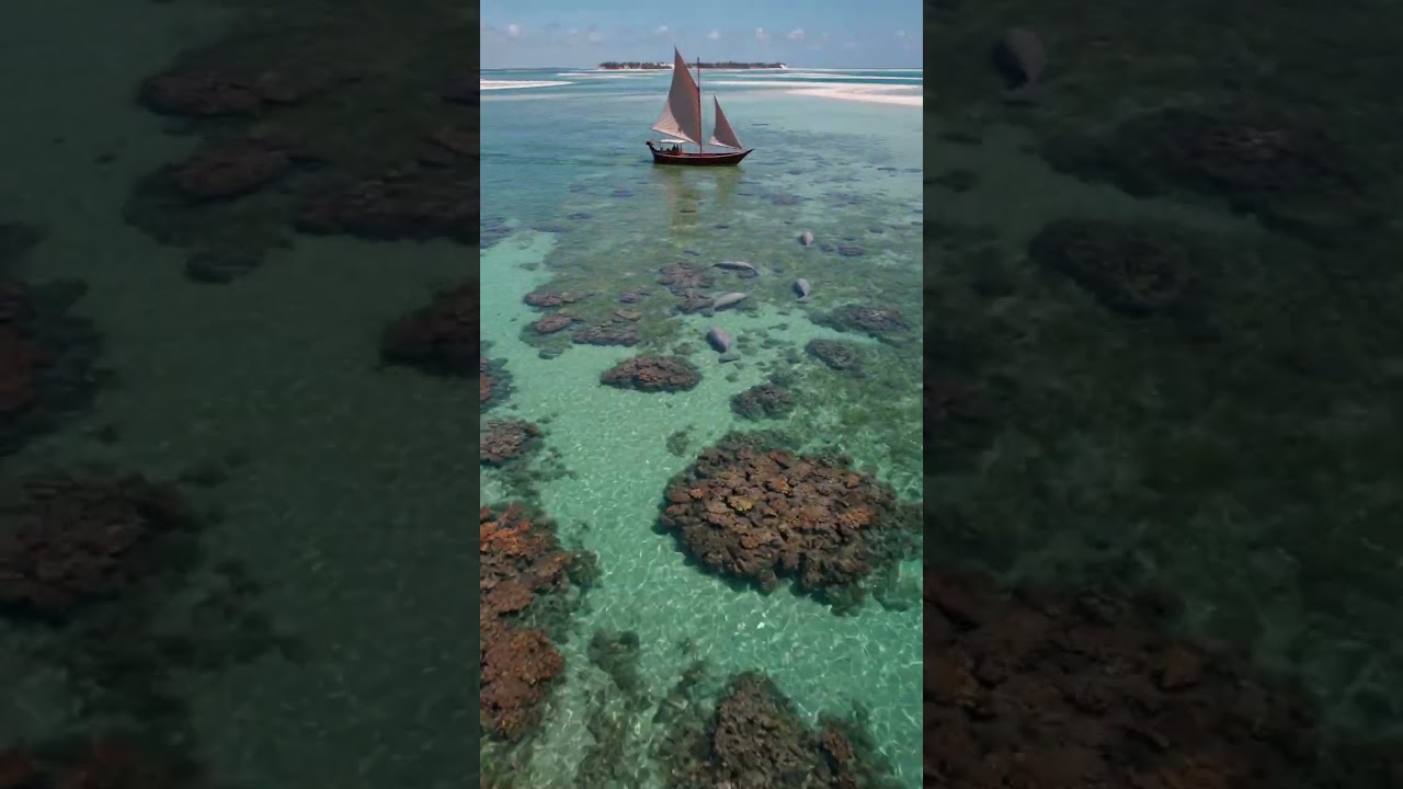 Bazaruto, Archipelago, Mozambique#Mozambique #Bazaruto #Africa #IndianOcean