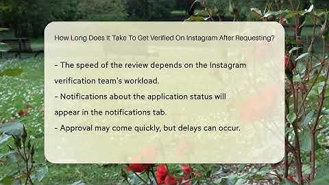 How Long Does It Take To Get Verified On Instagram After Requesting? - Everyday-Networking